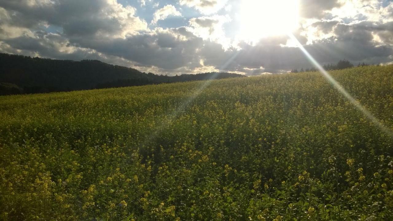 Blick In Die Suedeifel Biersdorf 外观 照片